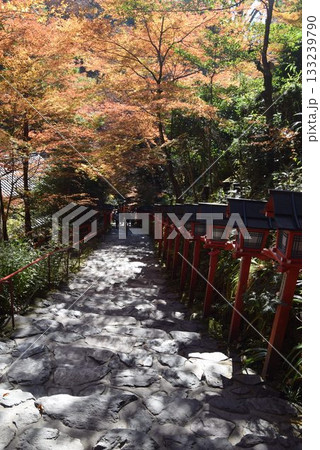 2025年11月16日 貴船神社16日 133239790