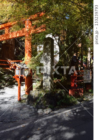 2025年11月16日 貴船神社16日 133239793