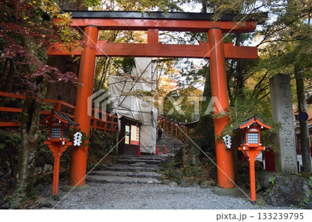2025年11月16日 貴船神社16日 133239795