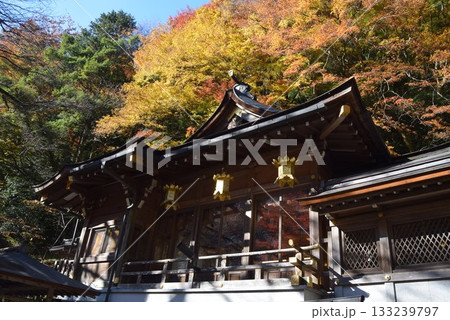 2025年11月16日 貴船神社16日 2025年11月16日 貴船神社16日 133239797