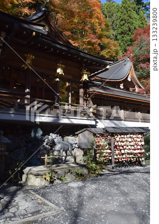 2025年11月16日 貴船神社16日 133239800
