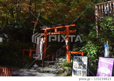 2025年11月16日 貴船神社16日 133239815