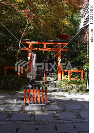 2025年11月16日 貴船神社16日 2025年11月16日 貴船神社16日 133239816