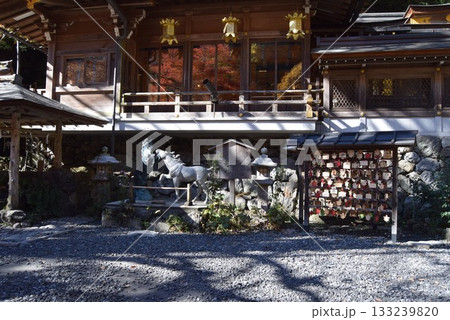 2025年11月16日 貴船神社16日 2025年11月16日 貴船神社16日 133239820