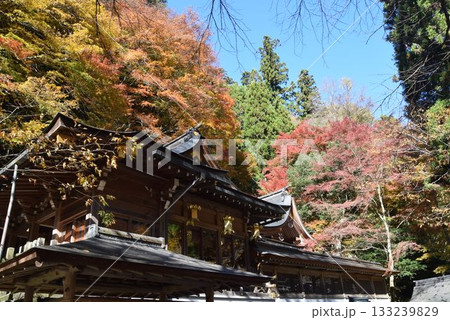 2025年11月16日 貴船神社16日 2025年11月16日 貴船神社16日 133239829