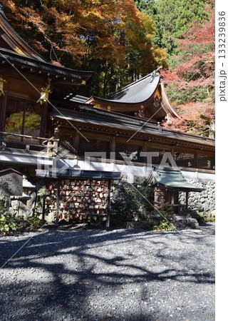 2025年11月16日 貴船神社16日 133239836