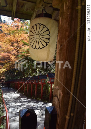 2025年11月16日 貴船神社16日 2025年11月16日 貴船神社16日 133239841