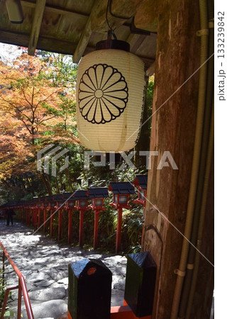 2025年11月16日 貴船神社16日 2025年11月16日 貴船神社16日 133239842