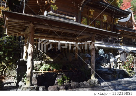 2025年11月16日 貴船神社16日 2025年11月16日 貴船神社16日 133239853