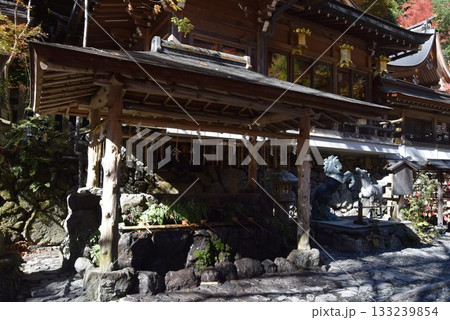 2025年11月16日 貴船神社16日 2025年11月16日 貴船神社16日 133239854