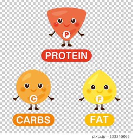 三大栄養素のキャラクターイラストセット 英語 三大栄養素のキャラクターイラストセット 英語 133240065