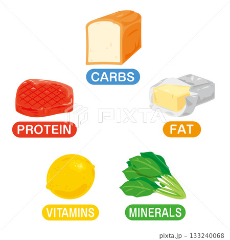 五大栄養素の食品イラストセット 英語 五大栄養素の食品イラストセット 英語 133240068