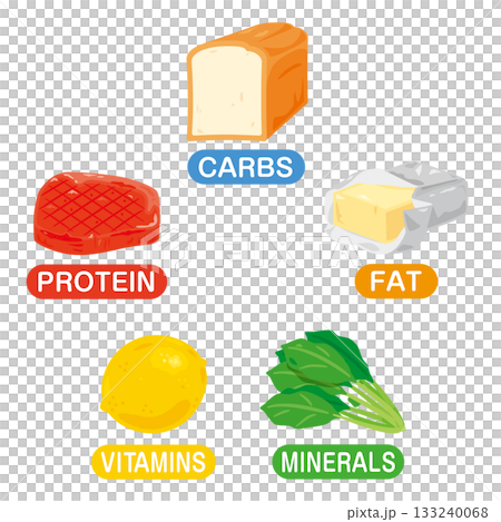 五大栄養素の食品イラストセット 英語 五大栄養素の食品イラストセット 英語 133240068