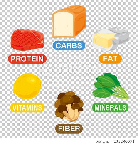 六大營養素食物插圖集(英文) 六大營養素食物插圖集(英文) 133240071