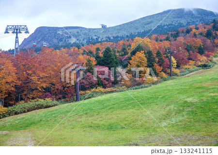 秋の蔵王 133241115