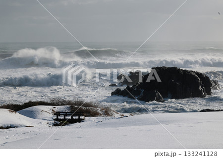 晴れた真冬の種差海岸 133241128