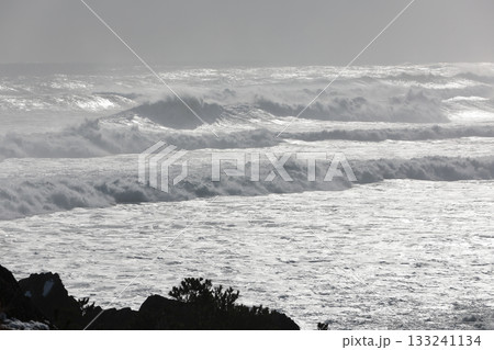 晴れた真冬の種差海岸 133241134