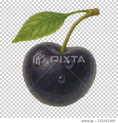 【水果】多汁黑櫻桃插圖 【水果】多汁黑櫻桃插圖 133241164