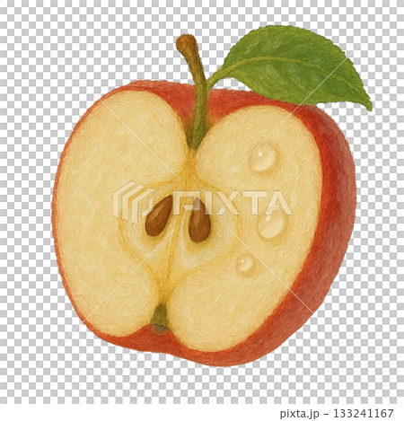 [Fruit] Illustration of a fresh cut apple 133241167
