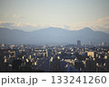 新宿高層階から見た西側の山並みと眼下の街並み 133241260
