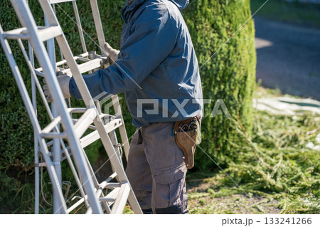 Japanese Gardener 133241266