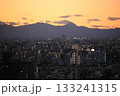 夕暮れ時の新宿 高層階から見た西側の山並みと眼下の街並み 133241315