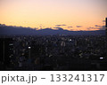 夕暮れ時の新宿 高層階から見た西側の山並みと眼下の街並み 133241317