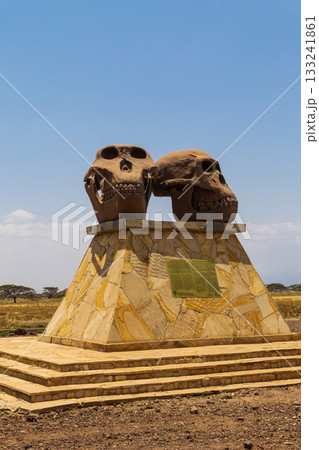 Sculpture of Skulls of Paranthropus (left) and Homo-Habilis (right) at the entrance Olduvai Gorge Museum in Ngorongoro Conservation Area, Tanzania Sculpture of Skulls of Paranthropus (left) and Homo-Habilis (right) at the entrance Olduvai Gorge Museum in Ngorongoro Conservation Area, Tanzania 133241861