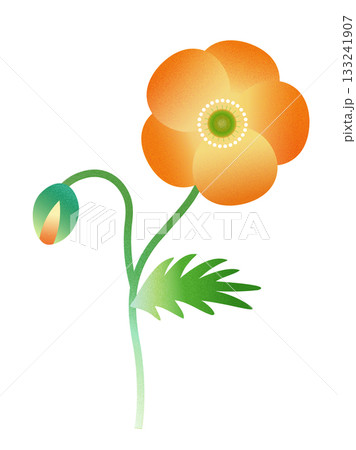 ポピーの花 133241907