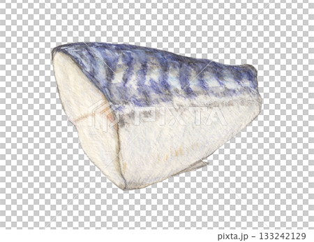 鯖魚片水彩鉛筆插圖 133242129