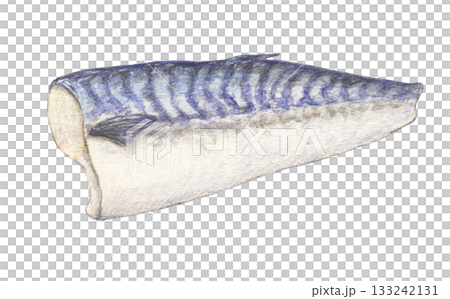 Half a mackerel watercolor pencil illustration 133242131