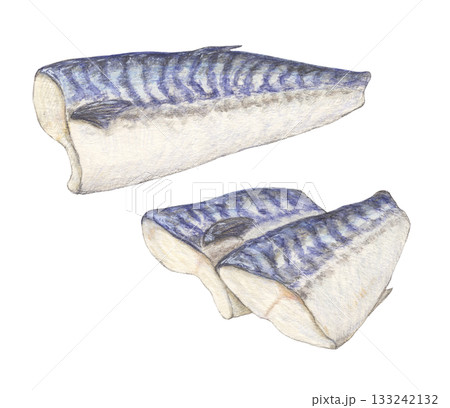 サバの半身と切り身　水彩色鉛筆イラスト 133242132