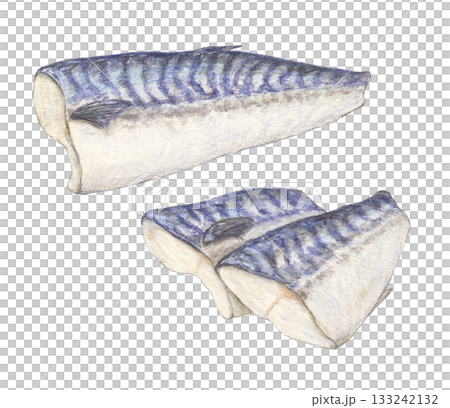 サバの半身と切り身　水彩色鉛筆イラスト 133242132