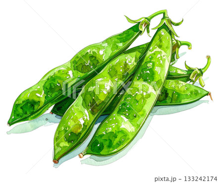 枝豆の水彩イラスト 133242174