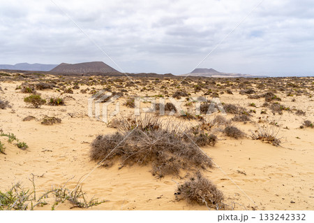 The arid landscape of La Graciosa island, Lanzarote, is captured under a cloudy sky with volcanic hills visible. 133242332