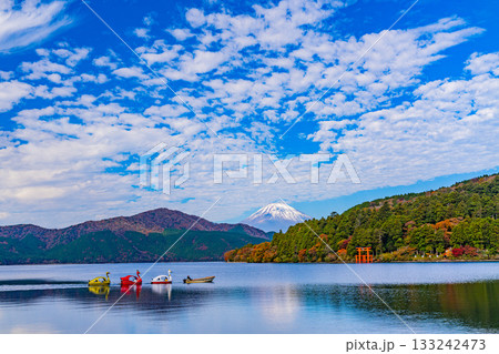 【神奈川県】元箱根港　静かな湖上でスワンボートを引く光景 133242473