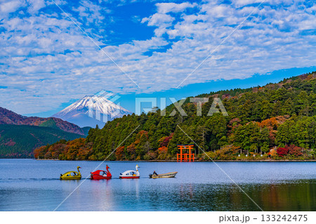 【神奈川県】元箱根港　静かな湖上でスワンボートを引く光景 133242475