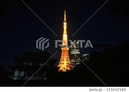 ライトアップされた通常色の東京タワーと増上寺　11月港区2092通常色・東京タワーと増上寺 133242589