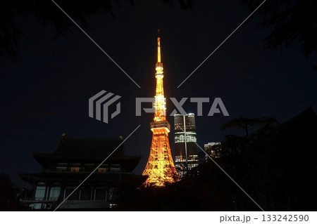 ライトアップされた通常色の東京タワーと増上寺　11月港区2093通常色・東京タワーと増上寺 133242590