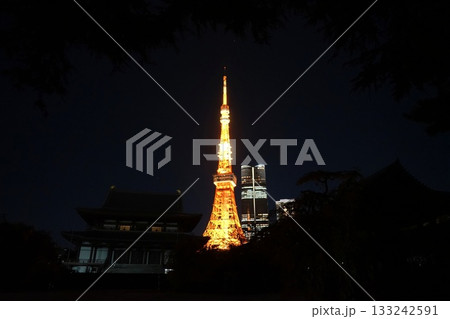 ライトアップされた通常色の東京タワーと増上寺　11月港区2094通常色・東京タワーと増上寺 133242591