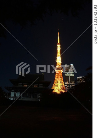 ライトアップされた通常色の東京タワーと増上寺　11月港区2096通常色・東京タワーと増上寺 133242593