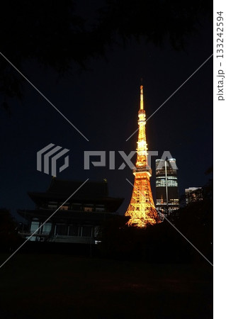 ライトアップされた通常色の東京タワーと増上寺　11月港区2097通常色・東京タワーと増上寺 133242594