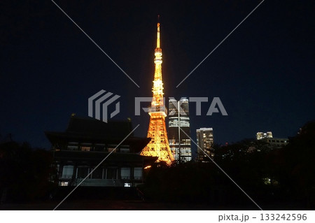 ライトアップされた通常色の東京タワーと増上寺　11月港区2099通常色・東京タワーと増上寺 133242596