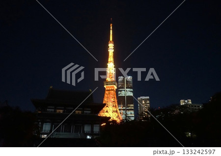 ライトアップされた通常色の東京タワーと増上寺 11月港区2100通常色・東京タワーと増上寺 ライトアップされた通常色の東京タワーと増上寺 11月港区2100通常色・東京タワーと増上寺 133242597