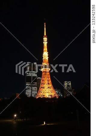 ライトアップされた夜の東京タワー　11月港区2101通常色・東京タワー・プリンス芝公園 133242598