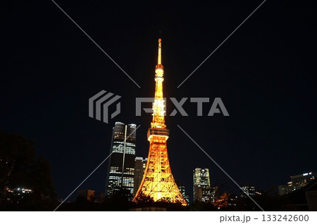 ライトアップされた夜の東京タワー　11月港区2103通常色・東京タワー・プリンス芝公園 133242600
