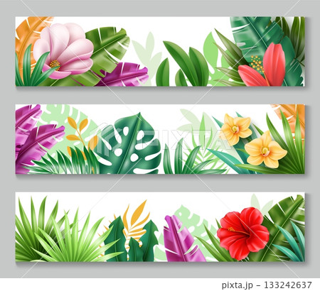 Exotic plants horizontal banners. Decorative border with tropical leaves and flowers, jungle palm branches, banana and monstera, orchid blossom, and red hibiscus, vector set 133242637