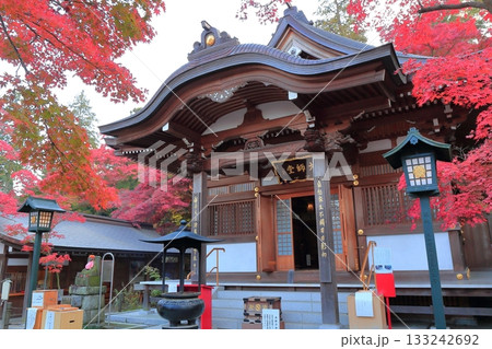 日野市高幡不動尊 五重塔と紅葉 日野市高幡不動尊 五重塔と紅葉 133242692