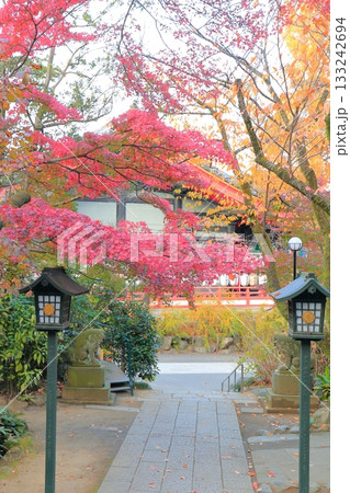日野市高幡不動尊 五重塔と紅葉 日野市高幡不動尊 五重塔と紅葉 133242694