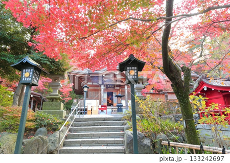 日野市高幡不動尊 五重塔と紅葉 日野市高幡不動尊 五重塔と紅葉 133242697